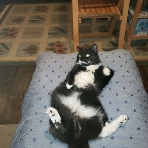 Meet your Posher, Sharon